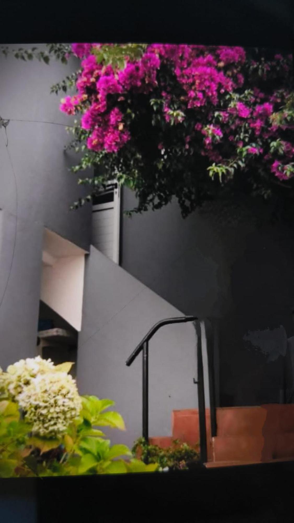 Casa Boa Vista Villa Palmeira Екстериор снимка